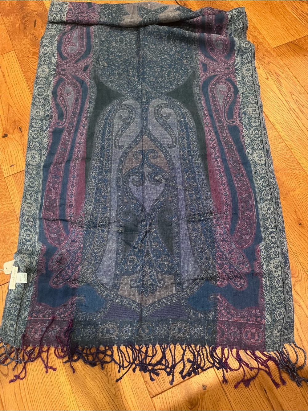 Women's Paisley Fringe Tapestry Scarf - Blue and Purple NWT